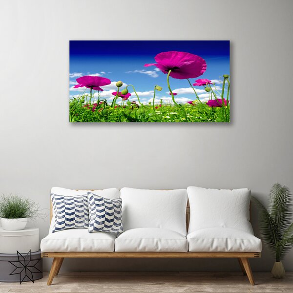 Quadro su tela Prato, Fiori, Cielo Natura 100x50 cm