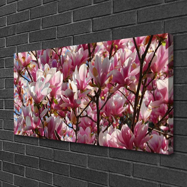 Quadro su tela Rami Fiori Pianta 100x50 cm