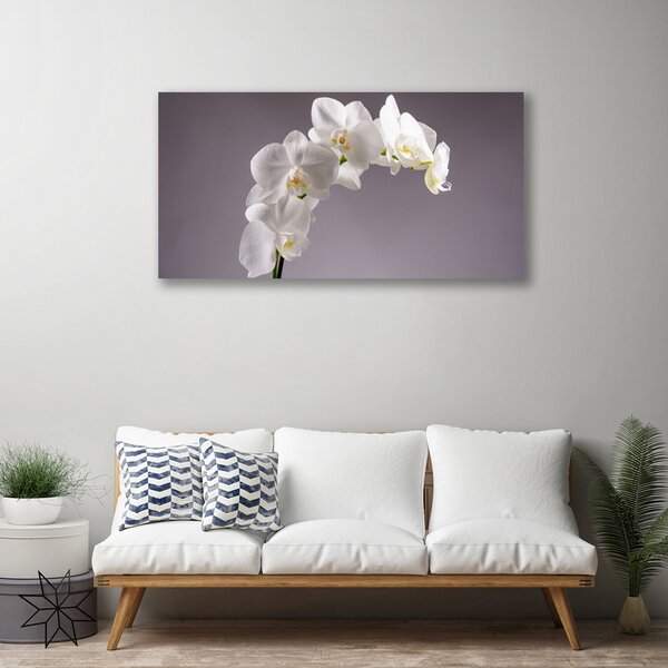 Quadro su tela Fiori, piante, natura 100x50 cm