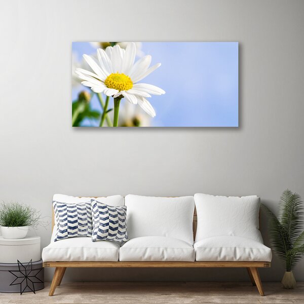 Quadro su tela Margherita, pianta, natura 100x50 cm