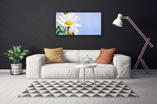 Quadro su tela Margherita, pianta, natura 100x50 cm