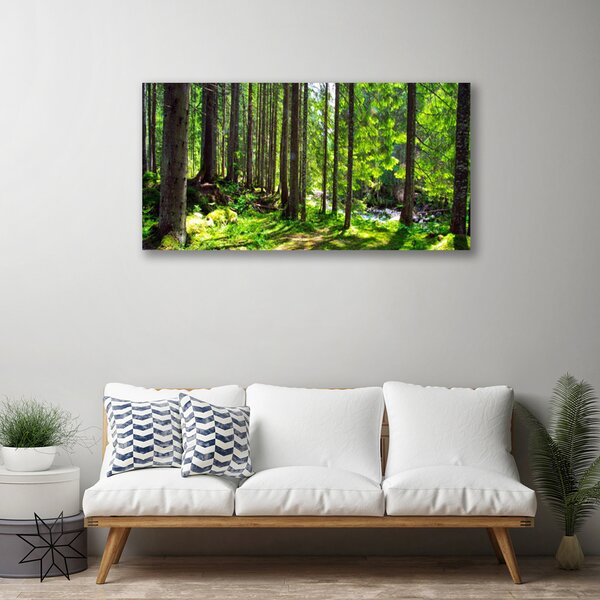 Quadro su tela Foresta, alberi, piante, natura 100x50 cm