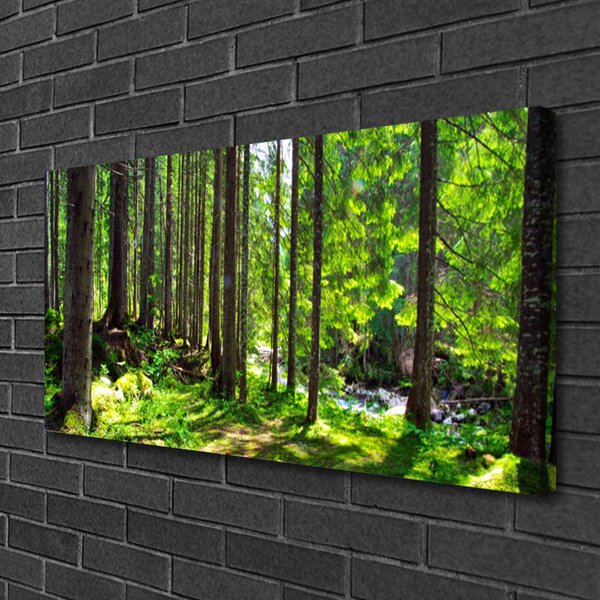 Quadro su tela Foresta, alberi, piante, natura 100x50 cm