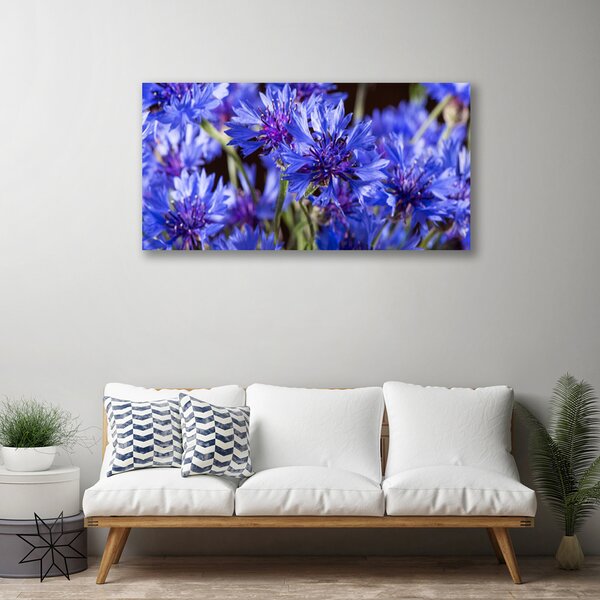 Quadro su tela Fiori, piante, natura 100x50 cm