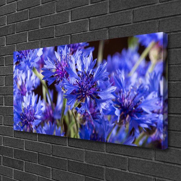 Quadro su tela Fiori, piante, natura 100x50 cm