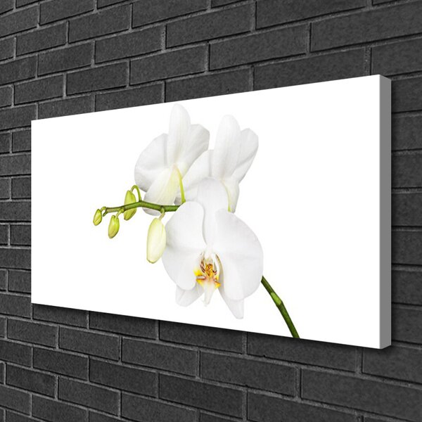 Quadro stampa su tela Fiori di orchidea Natura 100x50 cm