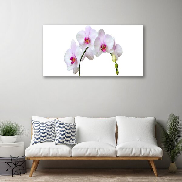 Quadro su tela Orchidea Fiori di orchidea 100x50 cm