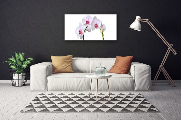 Quadro su tela Orchidea Fiori di orchidea 100x50 cm