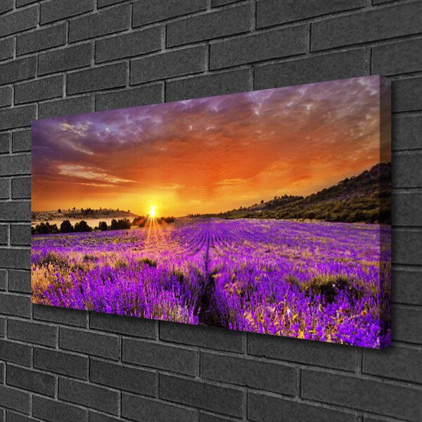Quadro su tela Tramonto sul campo di lavanda 100x50 cm