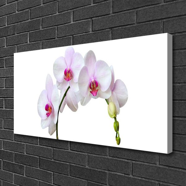 Quadro su tela Orchidea Fiori di orchidea 100x50 cm