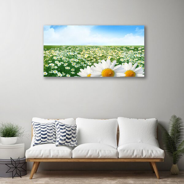Stampa quadro su tela Fiori Di Margherite Del Campo Di Prato 100x50 cm