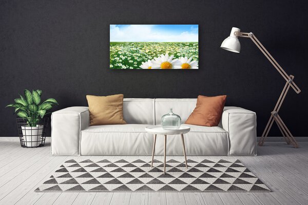 Stampa quadro su tela Fiori Di Margherite Del Campo Di Prato 100x50 cm