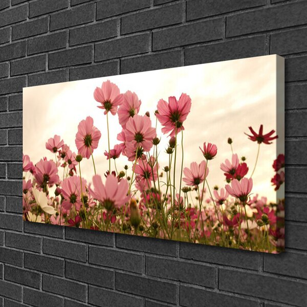 Quadro su tela Fiori di campo della natura 100x50 cm