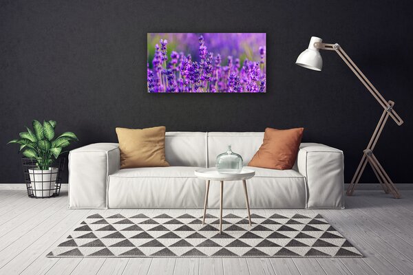 Foto quadro su tela Campo di lavanda viola 100x50 cm