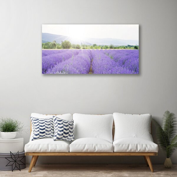Quadro su tela Campo di lavanda Natura del prato 100x50 cm