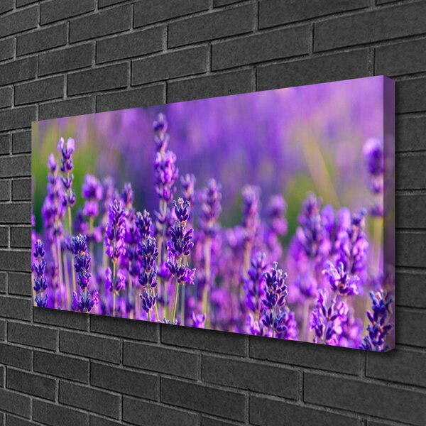 Foto quadro su tela Campo di lavanda viola 100x50 cm