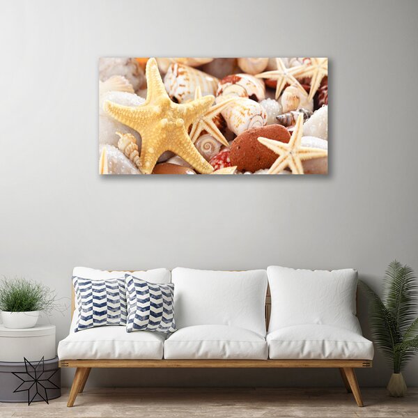 Quadro su tela Spiaggia di conchiglie di stelle marine 100x50 cm