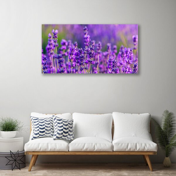 Foto quadro su tela Campo di lavanda viola 100x50 cm