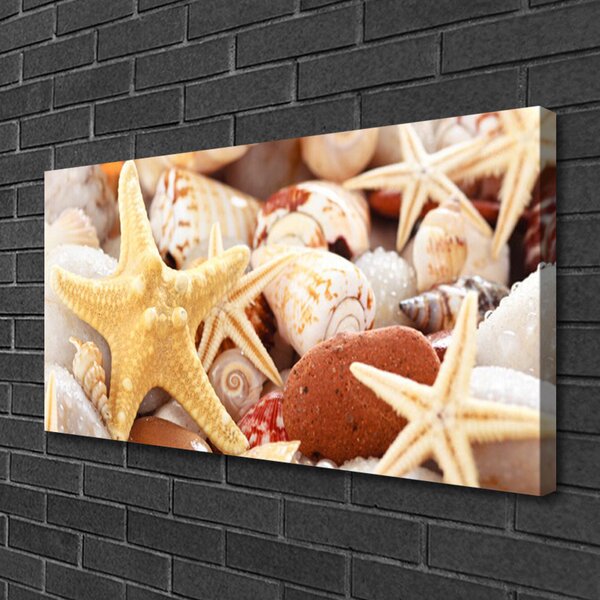 Quadro su tela Spiaggia di conchiglie di stelle marine 100x50 cm