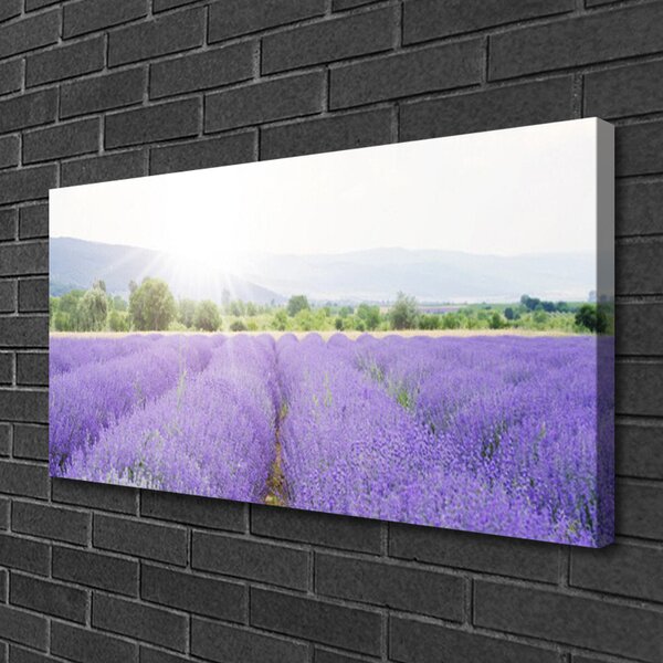 Quadro su tela Campo di lavanda Natura del prato 100x50 cm
