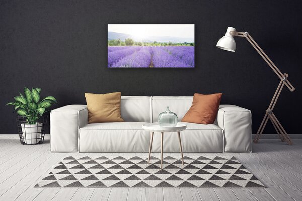 Quadro su tela Campo di lavanda Natura del prato 100x50 cm