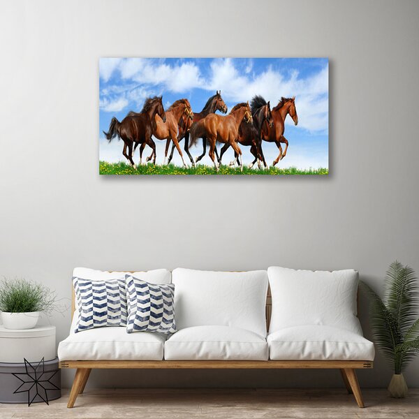 Stampa quadro su tela Cavalli al galoppo al pascolo 100x50 cm