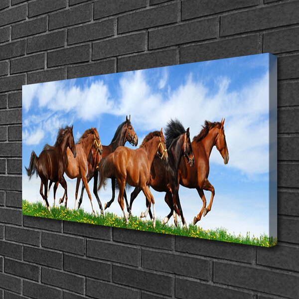Stampa quadro su tela Cavalli al galoppo al pascolo 100x50 cm