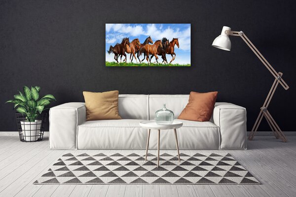 Stampa quadro su tela Cavalli al galoppo al pascolo 100x50 cm