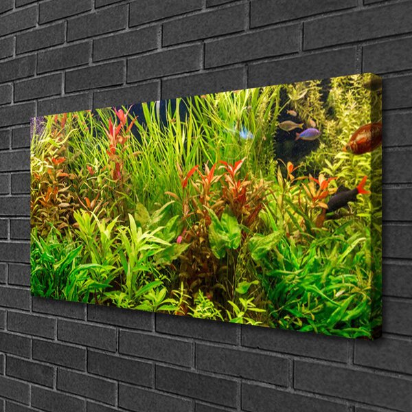 Quadro su tela Acquario, pesci, piante 100x50 cm