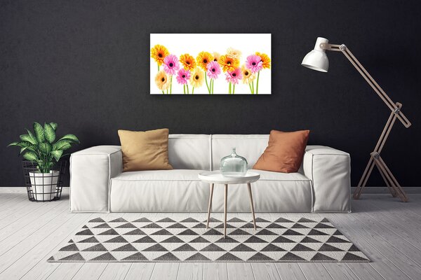 Quadro su tela Fiori colorati di gerbere 100x50 cm