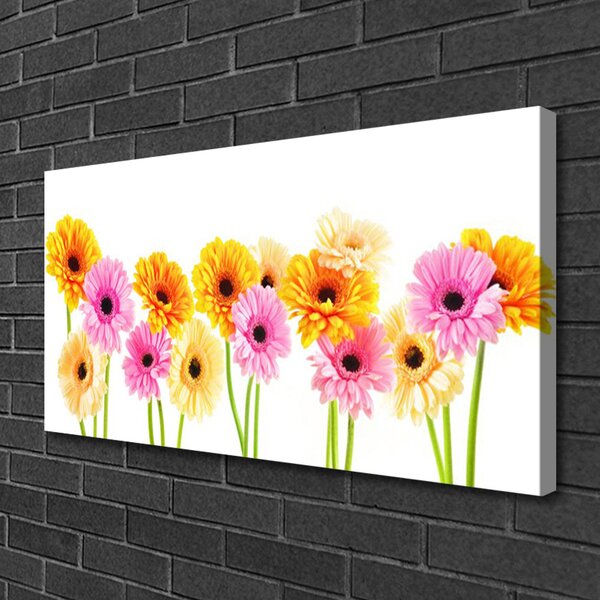 Quadro su tela Fiori colorati di gerbere 100x50 cm