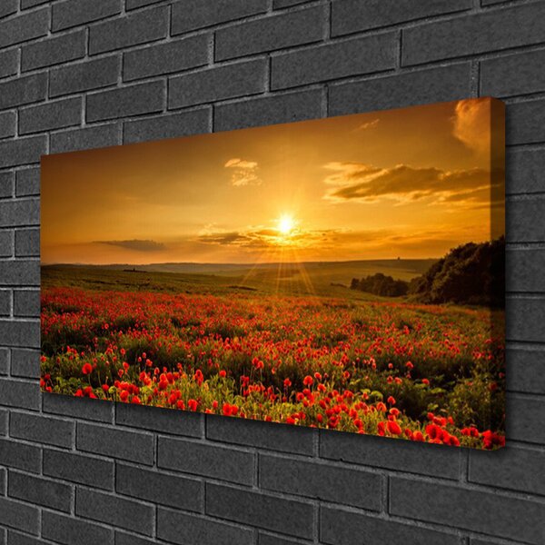 Quadro su tela Un campo di papaveri Tramonto Prato 100x50 cm