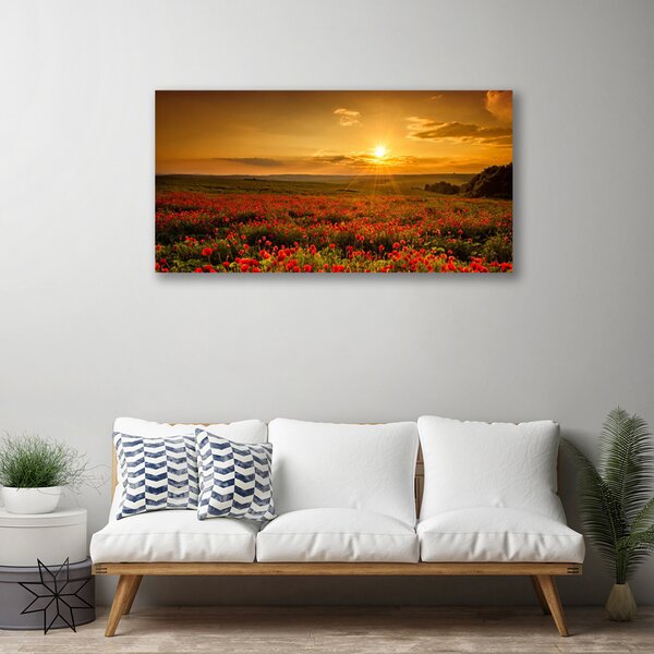 Quadro su tela Un campo di papaveri Tramonto Prato 100x50 cm