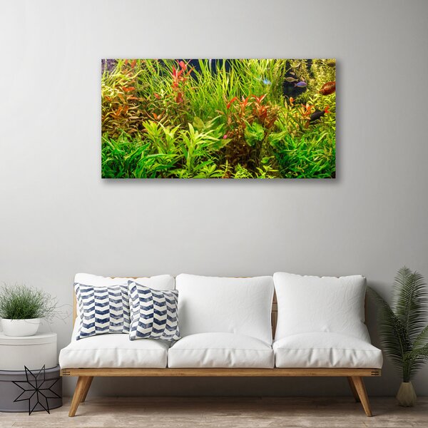 Quadro su tela Acquario, pesci, piante 100x50 cm
