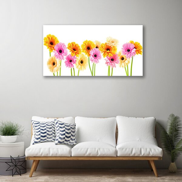 Quadro su tela Fiori colorati di gerbere 100x50 cm