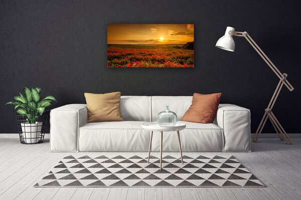 Quadro su tela Un campo di papaveri Tramonto Prato 100x50 cm