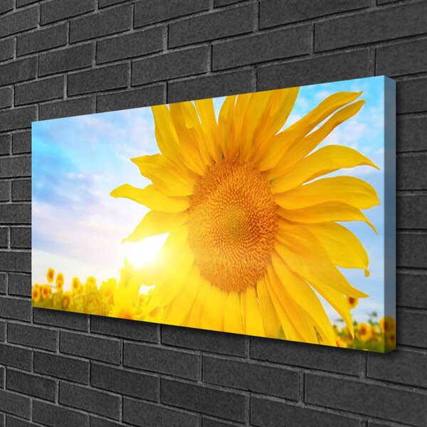 Quadro su tela Fiore di girasole girasole 100x50 cm