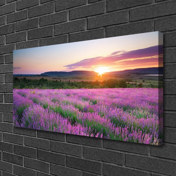 Quadro su tela Campo di lavanda prato ovest 100x50 cm
