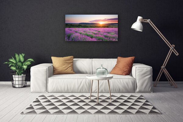 Quadro su tela Campo di lavanda prato ovest 100x50 cm