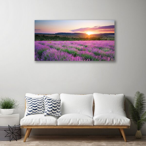 Quadro su tela Campo di lavanda prato ovest 100x50 cm