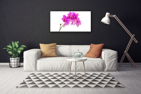 Quadro su tela Orchidea Fiore di orchidea 100x50 cm