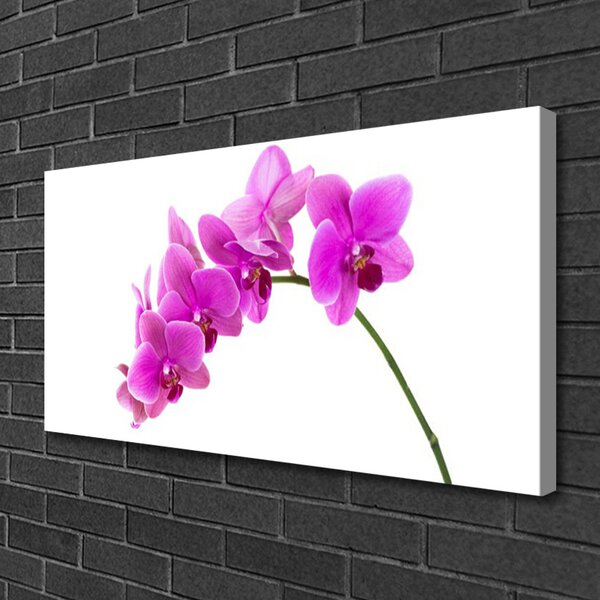 Quadro su tela Orchidea Fiore di orchidea 100x50 cm
