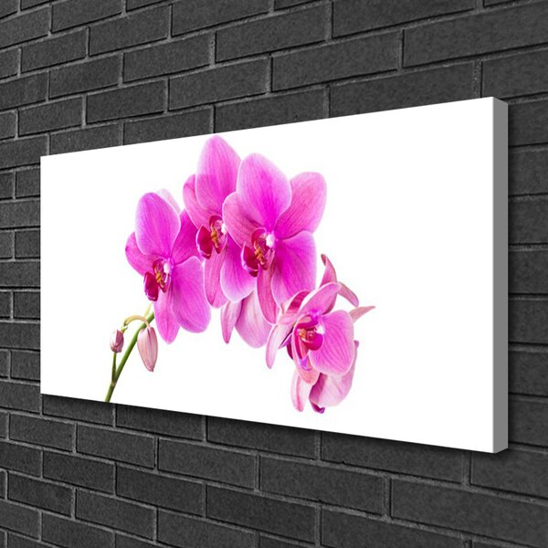 Quadro su tela Orchidea Fiore di orchidea 100x50 cm