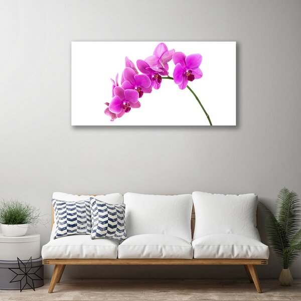 Quadro su tela Orchidea Fiore di orchidea 100x50 cm