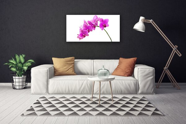 Quadro su tela Orchidea Fiore di orchidea 100x50 cm