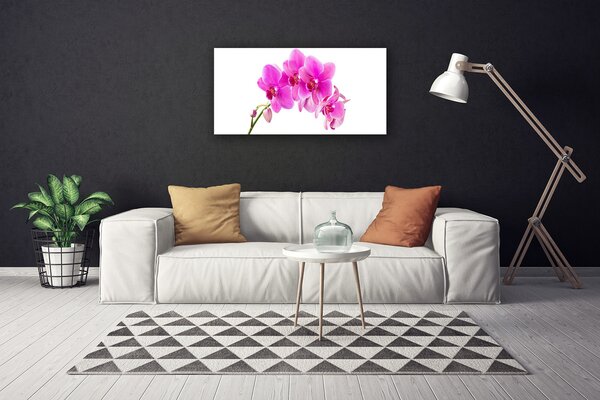 Quadro su tela Orchidea Fiore di orchidea 100x50 cm