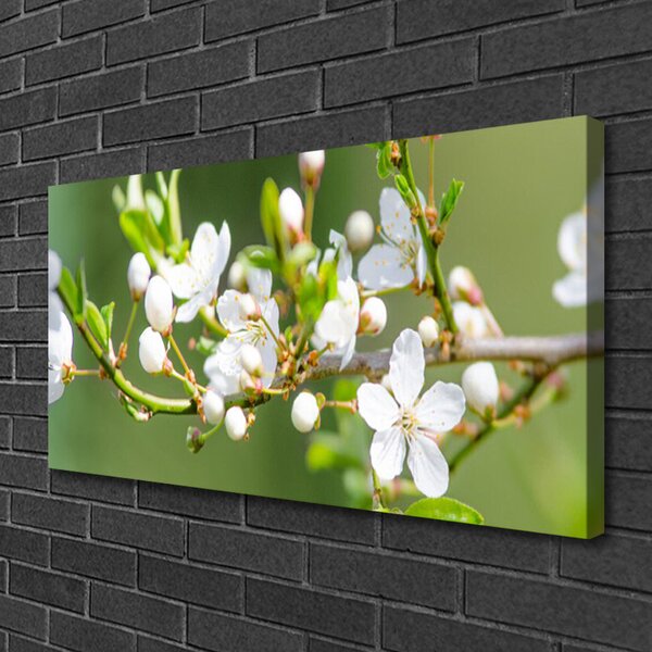 Quadro su tela Fiori. Rami. Foglie. Frutteto 100x50 cm