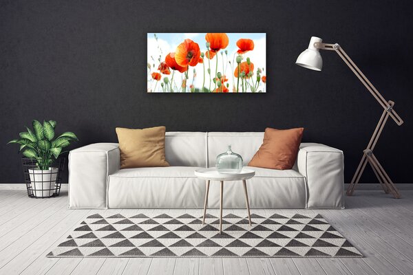 Quadro su tela Prato Papaveri Fiori Natura Campo 100x50 cm