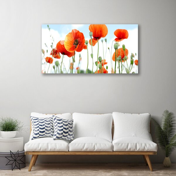 Quadro su tela Prato Papaveri Fiori Natura Campo 100x50 cm