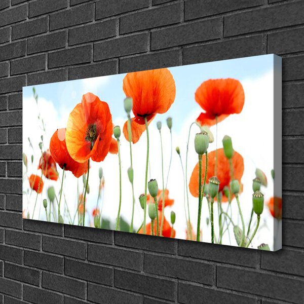 Quadro su tela Prato Papaveri Fiori Natura Campo 100x50 cm